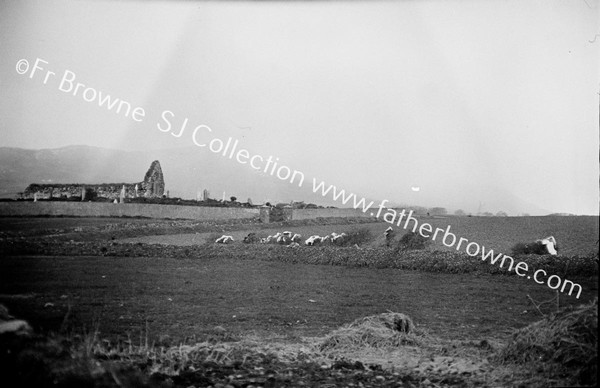 KILMUIRE CHURCH FROM S.